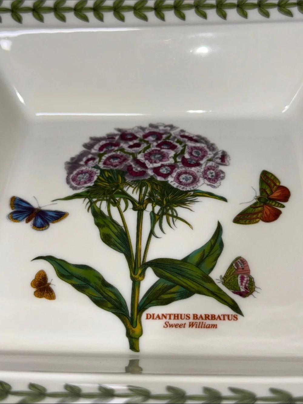 Portmeirion Botanic Garden 7.5-inch square serving bowl 